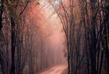 NG28:克罗斯盲排任意球高手:卡洛斯居首,梅西第,C罗第.