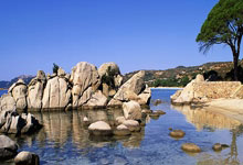 世界摔联积分赛地拉那站中国队1金1银3铜收官.